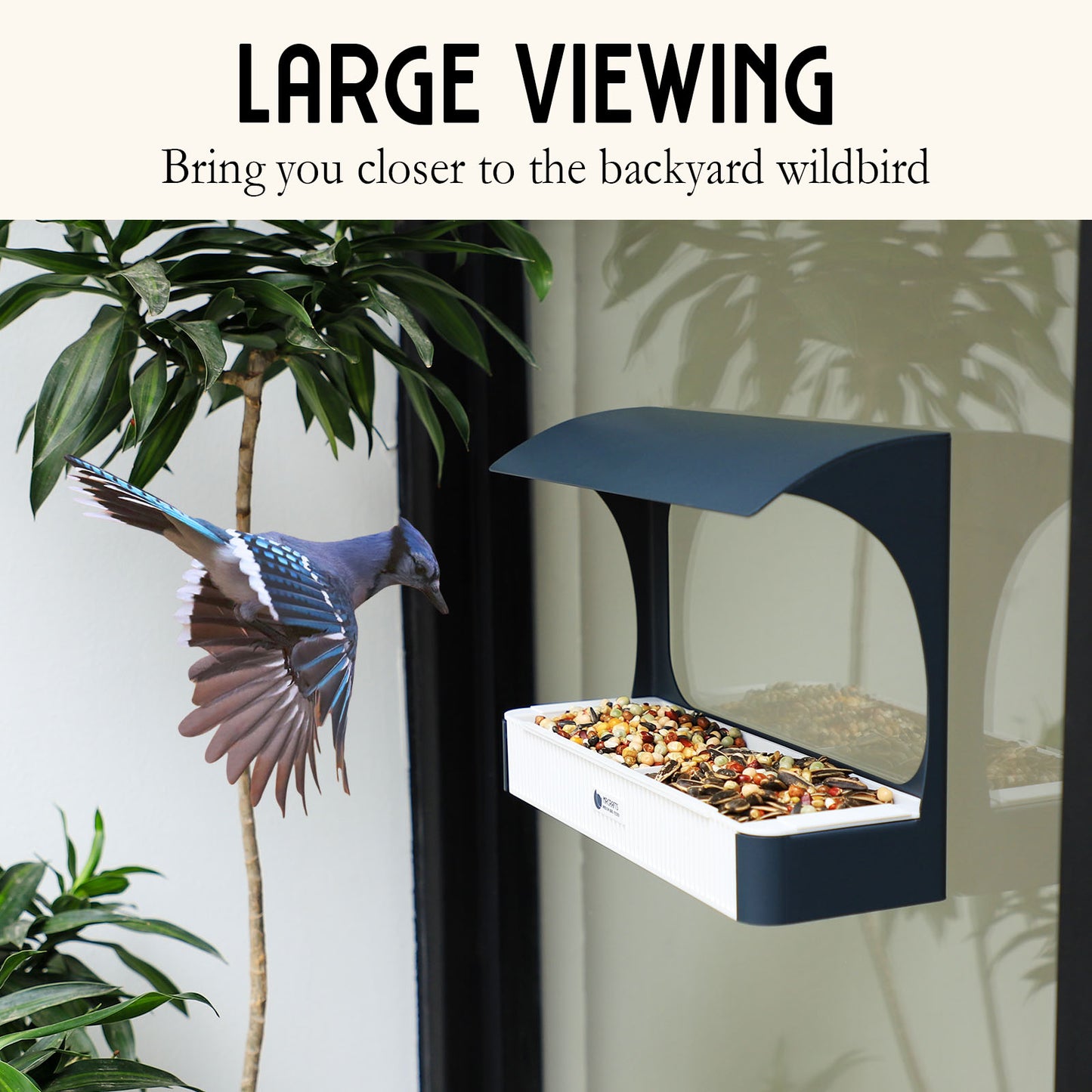 Window Bird Feeder Series - Blue Jay Wonder0703