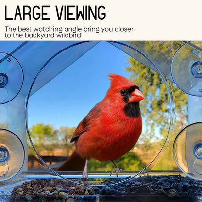 Large House Window Bird Feeder