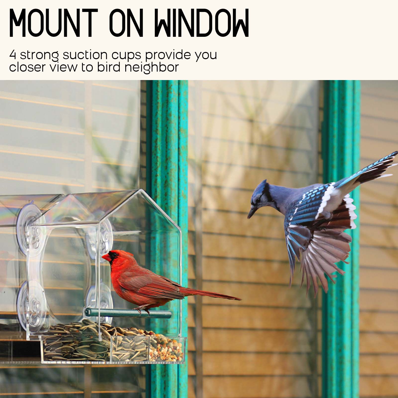 Window Bird Feeders, Window Mount Bird Feeders, In-House Bird